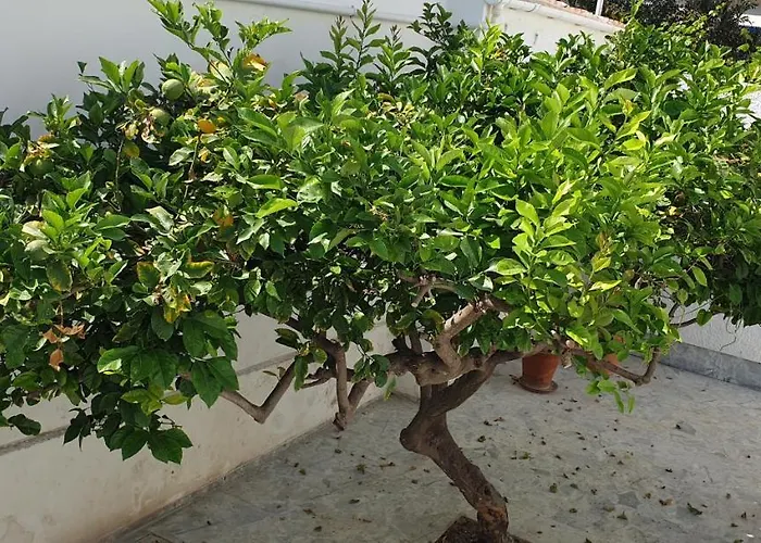 Hébergement de vacances Jet, Luxury 20m From The Kini